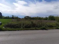 Plac — Pasi poljana — fotografija 1