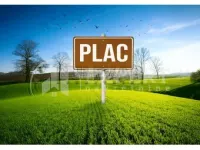 Plac — Petra Božovića — fotografija 1