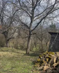 Kuća — Gornji Barbeš — fotografija 5