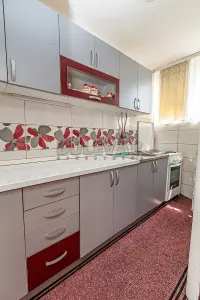 Trosoban stan — Generala Milojka Lešjanina — fotografija 6