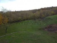 Kuća — Supovac — fotografija 3