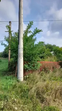 Plac — 19. oktobra — fotografija 1
