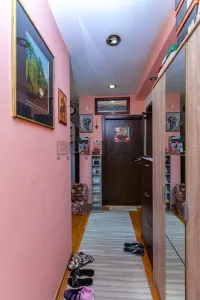 Dvoiposoban stan — Obilićev venac — fotografija 5