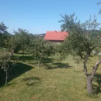 Kuća — Mlekarska — fotografija 3