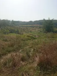 Plac — Kraljevačkog bataljona — fotografija 6