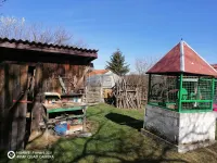 Kuća — Osladić — fotografija 12