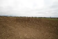 Plac — Novo selo — fotografija 1