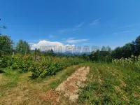 Plac — Olomljenica — fotografija 4