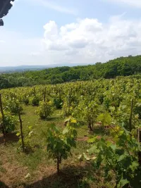 Plac — Đurđevo — fotografija 2