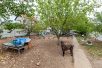 Kuća — Batušinački put — fotografija 18