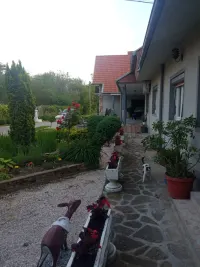 Kuća — Velika Plana — fotografija 27