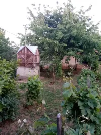 Plac — Borci — fotografija 7