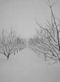 Plac — Merošina — fotografija 5