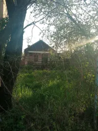 Kuća — Sime Živkovića — fotografija 1