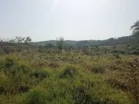 Plac — Kraljevačkog bataljona — fotografija 2