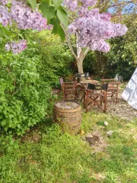 Više od tri spavaće sobe stan — Anastasa Jovanovića — fotografija 37
