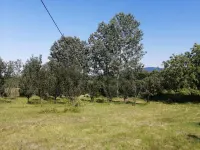 Plac — Ribare — fotografija 1