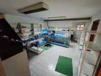 Poslovni prostor — Karađorđeva — fotografija 9