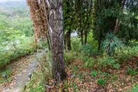 Kuća — Ostrovica — fotografija 9