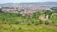Plac — Miladina Popovića — fotografija 9