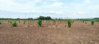 Plac — Gornje Jarušice — fotografija 9