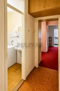 Dvoiposoban stan — Sinđelićev trg — fotografija 16