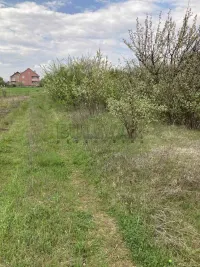 Plac — Vrtište — fotografija 3