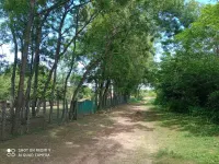 Plac — Grivac — fotografija 3