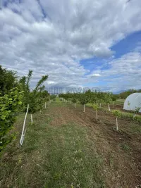 Kuća — Matejevački put — fotografija 12