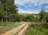 Plac — Berbatovo — fotografija 2