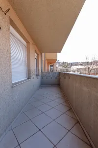 Više od tri spavaće sobe stan — Stanoja Bunuševca — fotografija 15
