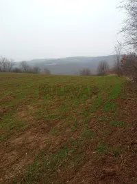 Plac — Boževac — fotografija 1
