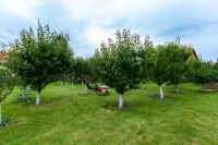 Kuća — Pasi poljana — fotografija 35
