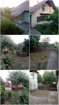 Plac — Borci — fotografija 17