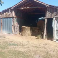 Plac — Sipić — fotografija 4