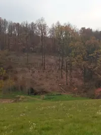 Plac — Grošnička — fotografija 3