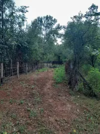 Kuća — Knić — fotografija 18