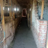Plac — Sipić — fotografija 3