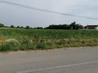 Plac — Rača — fotografija 1