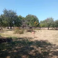 Plac — Sipić — fotografija 1