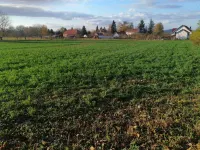 Plac — Botunje — fotografija 5
