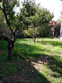 Kuća — Berbatovo — fotografija 5
