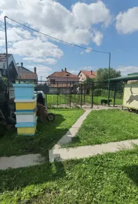 Kuća — 19. oktobra — fotografija 23
