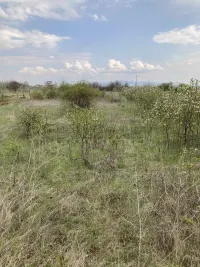 Plac — Vrtište — fotografija 7