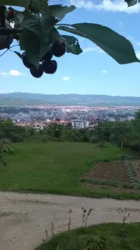 Plac — Kalač brdo — fotografija 1