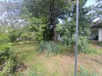 Plac — Bulevar svetog cara — fotografija 15