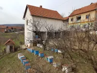 Kuća — Krajkovac — fotografija 4