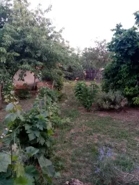 Plac — Borci — fotografija 15