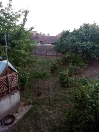 Plac — Borci — fotografija 11