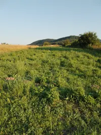 Plac — Žunje — fotografija 7